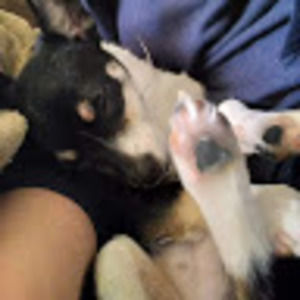 Meet your Posher, Jeanna